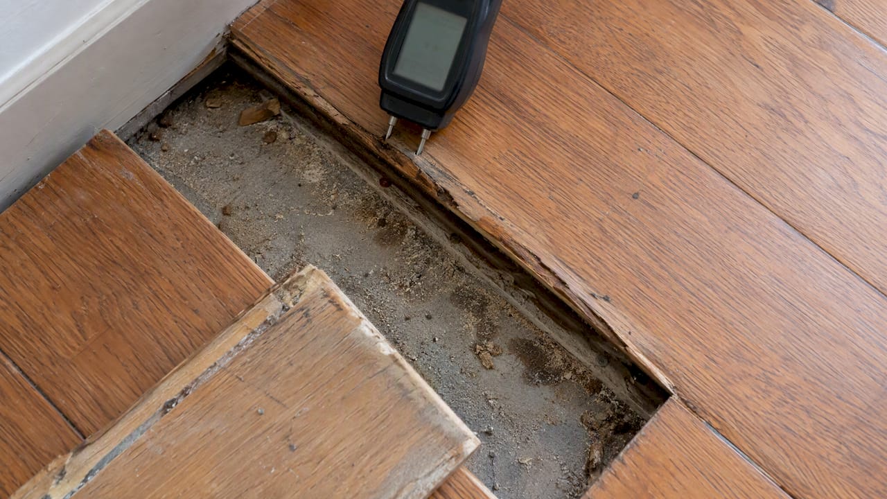 Moisture meter checking exposed wood subfloor